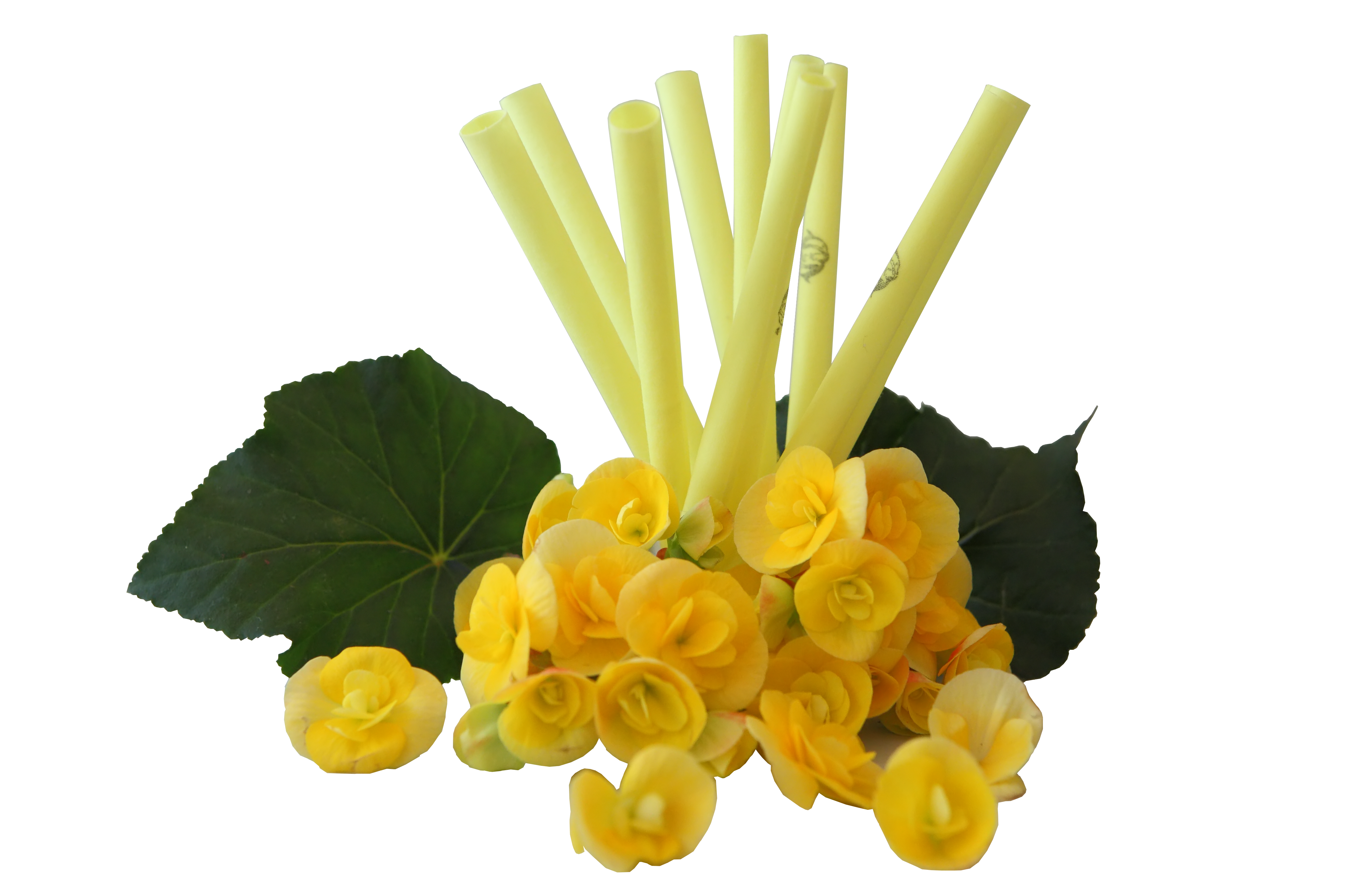 IL-DO® Körperkerzen gelb, Solar-Plexus Chakra